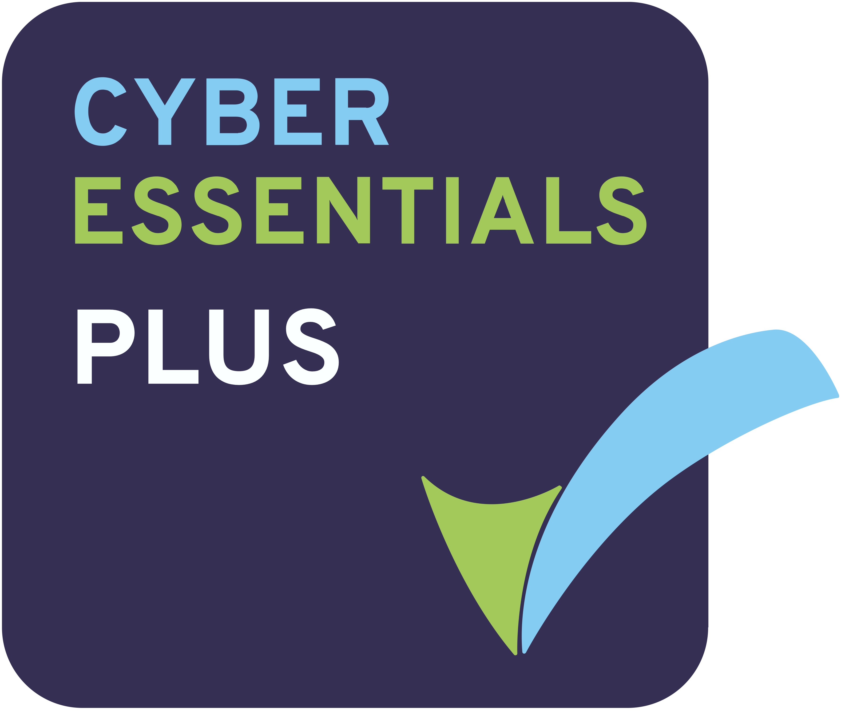 Cyber Essentials Plus Badge Logo